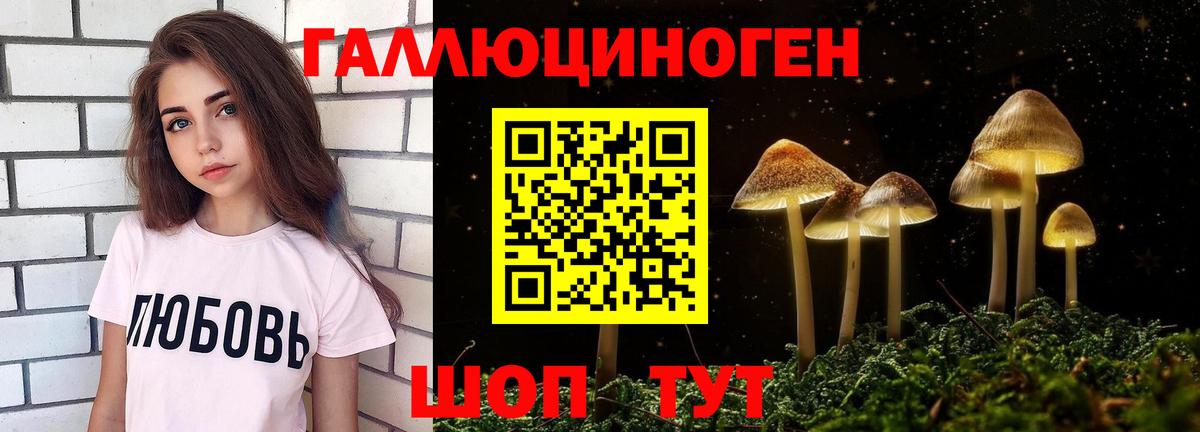 Псилоцибиновые грибы мицелий Саяногорск